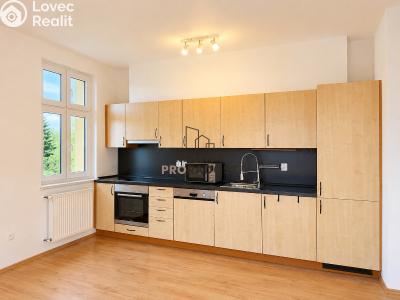 Продаж квартири 3+KK Černý Důl č. 4