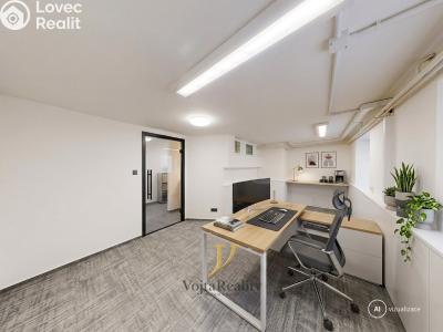 Rent office space Olomouc, Blanická č. 1