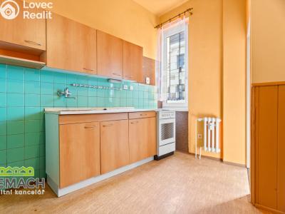 Rent apartment 1+1 Náchod, Kamenice č. 1