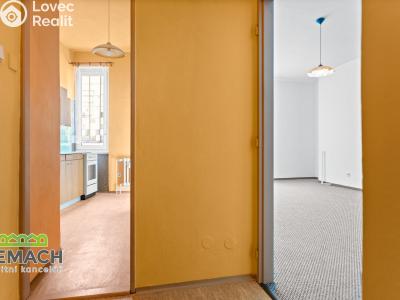 Rent apartment 1+1 Náchod, Kamenice č. 4