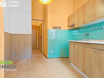 Rent apartment 1+1 Náchod, Kamenice č. 6