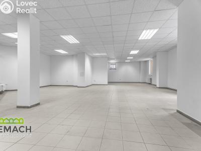 Rent commercial space Náchod, Kamenice č. 1