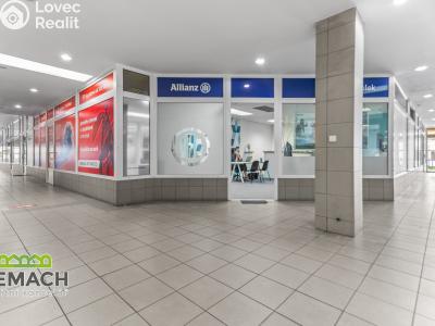 Rent commercial space Náchod, Kamenice č. 3