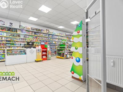 Rent commercial space Náchod, Kamenice č. 11