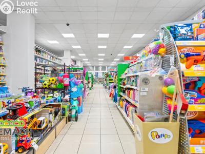 Rent commercial space Náchod, Kamenice č. 3