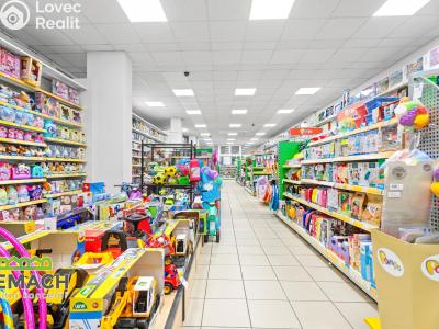 Rent commercial space Náchod, Kamenice č. 5