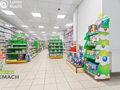 Rent commercial space Náchod, Kamenice č. 9