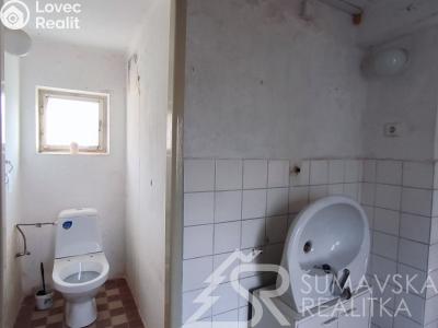 Prodej rodinného domu Srní č. 21