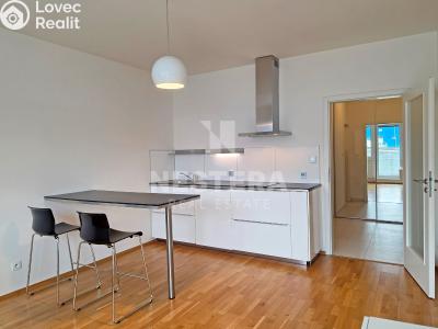 Аренда квартиры 1+KK Praha, U svobodárny č. 4