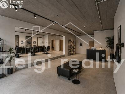 Rent commercial space Velké Pavlovice, Náměstí 9. května 1 č. 3