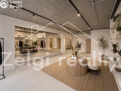 Rent commercial space Velké Pavlovice, Náměstí 9. května 1 č. 5