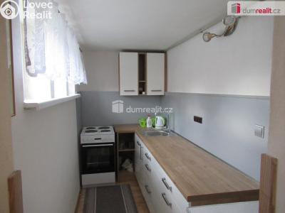 Rent apartment 1+KK Zbuzany, V Zahradě č. 1