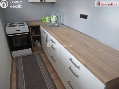 Rent apartment 1+KK Zbuzany, V Zahradě č. 2