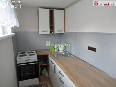 Rent apartment 1+KK Zbuzany, V Zahradě č. 4