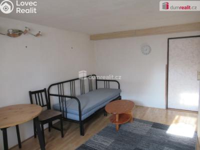 Rent apartment 1+KK Zbuzany, V Zahradě č. 6