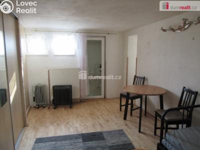 Rent apartment 1+KK Zbuzany, V Zahradě č. 7