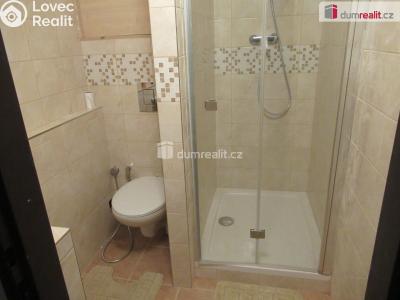 Rent apartment 1+KK Zbuzany, V Zahradě č. 10