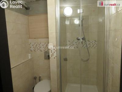 Rent apartment 1+KK Zbuzany, V Zahradě č. 11