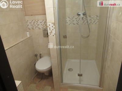 Rent apartment 1+KK Zbuzany, V Zahradě č. 14