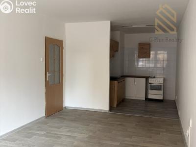Pronájem bytu 2+1 Bílina, Fügnerova 254 č. 7
