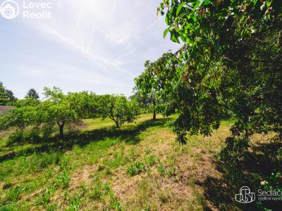 Prodej rodinného domu Bělčice č. 30