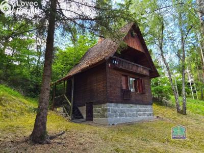 Prodej chaty Svojšín č. 30