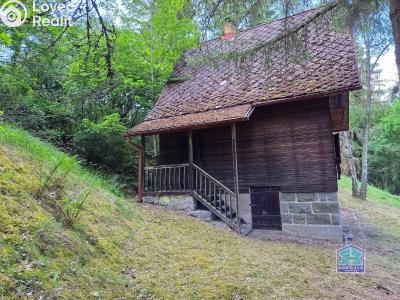 Prodej chaty Svojšín č. 26