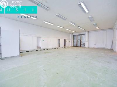 Pronájem komerční nemovitosti Olomouc, Werichova č. 8