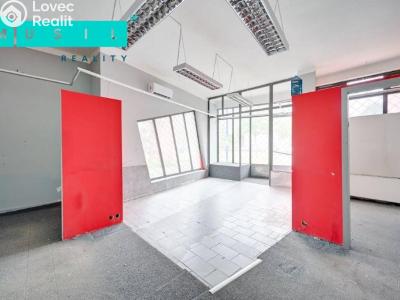Pronájem komerční nemovitosti Olomouc, Werichova č. 10