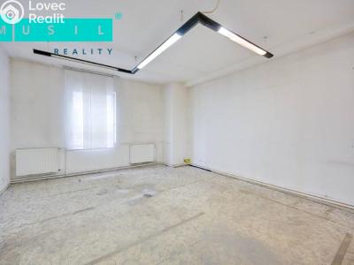 Pronájem komerční nemovitosti Olomouc, Werichova č. 12