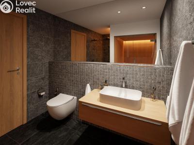 Sale apartment 2+KK Deštné v Orlických horách č. 11