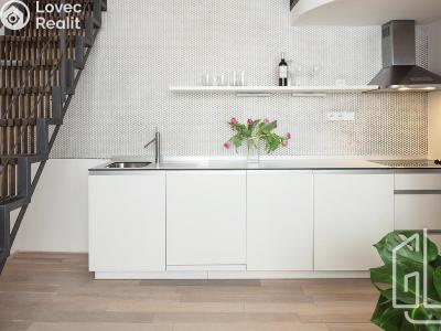 Rent apartment 1+1 Praha, Holečkova č. 5