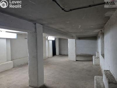 Rent warehouse Teplice, Thámova č. 1