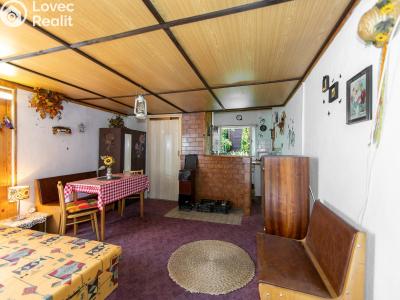 Sale hut Blovice č. 4