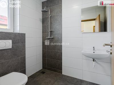 Продаж сімейного будинку Hory č. 7