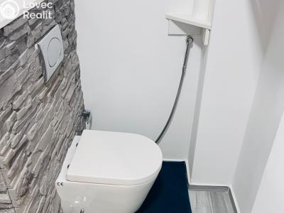 Sale apartment 2+1 Havířov, 17. listopadu č. 13