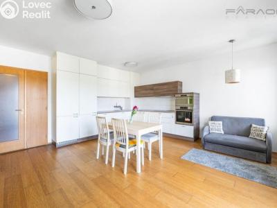 Rent apartment 3+KK Praha, Nademlejnská č. 6