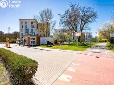 Rent apartment 3+KK Praha, Nademlejnská č. 8