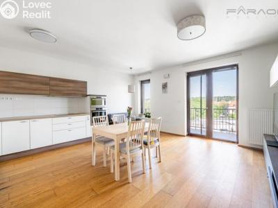 Rent apartment 3+KK Praha, Nademlejnská č. 9