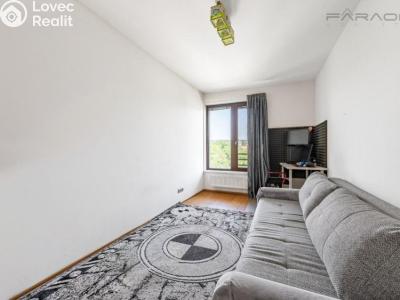 Rent apartment 3+KK Praha, Nademlejnská č. 18