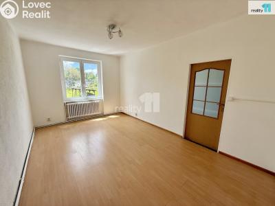 Pronájem bytu 2+KK Stanovice č. 10