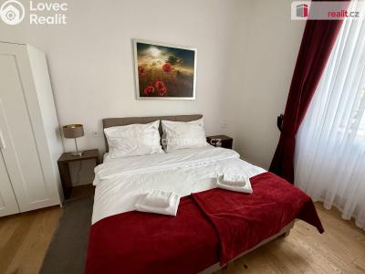 Pronájem bytu 3+KK Mariánské Lázně, Ibsenova č. 8