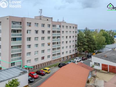 Prodej bytu 1+1 Klatovy, Voříškova 822 č. 11
