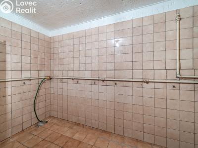 Prodej výrobní haly Kroměříž č. 22