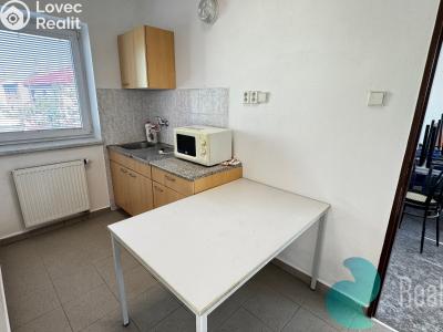 Sale production hall České Budějovice, K Dolíčku č. 17