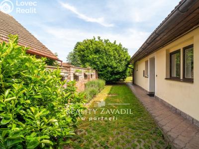 Sale family house Žiželice, Vladislavova č. 14